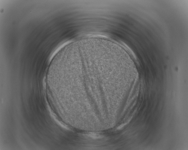 X0000081410814200702092107