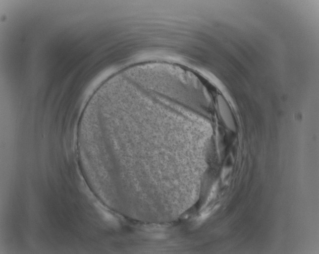 X0000081410815200702092107