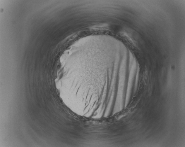 X0000081410821200702092106