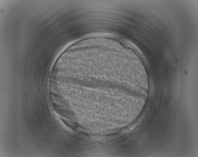 X0000081410852200702092107