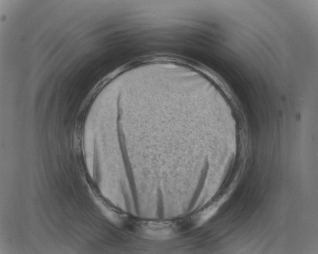 X0000081410857200702092107