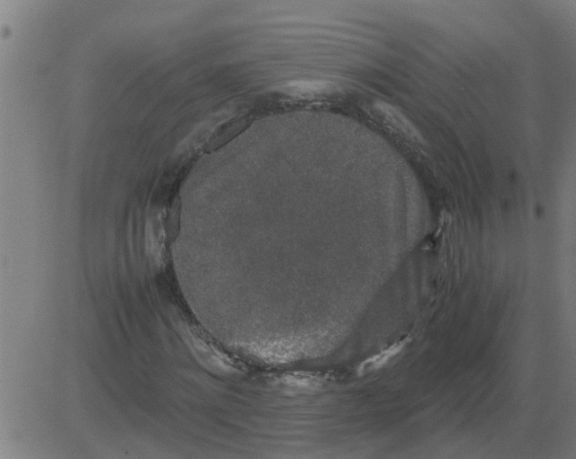 X0000081410868200702092106