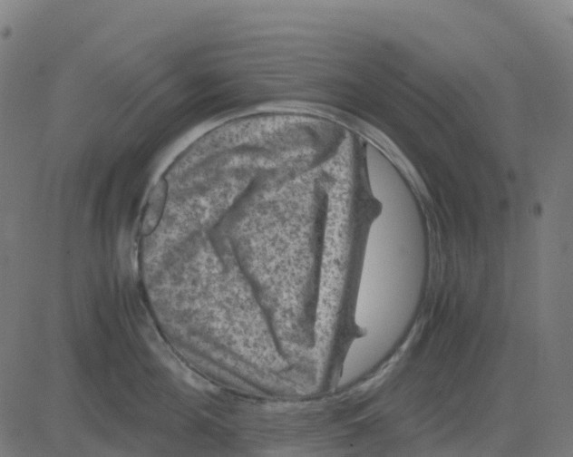 X0000081410908200702092105