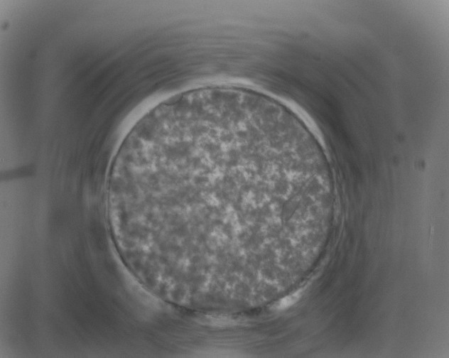 X0000081410911200702092105