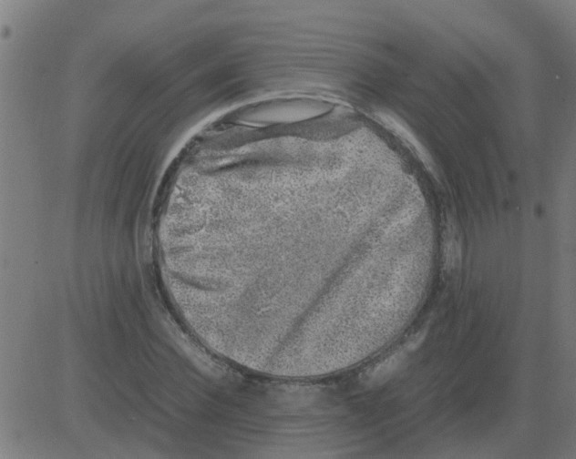 X0000081410924200702092105