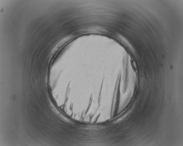 X0000081410938200702092105