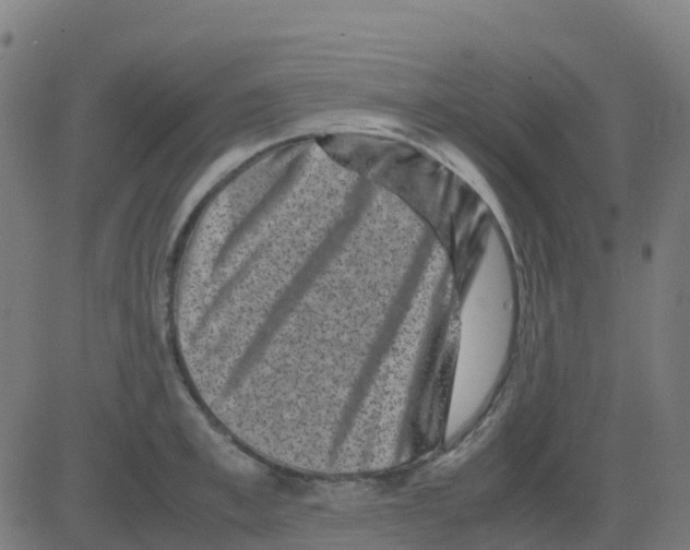 X0000081410997200702092104