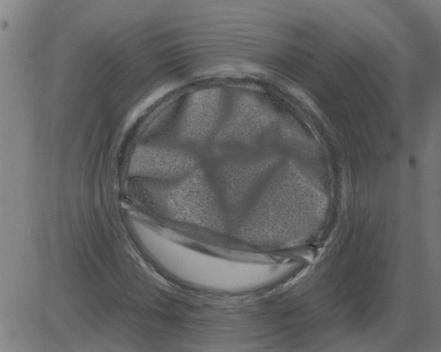 X0000081411018200702092103