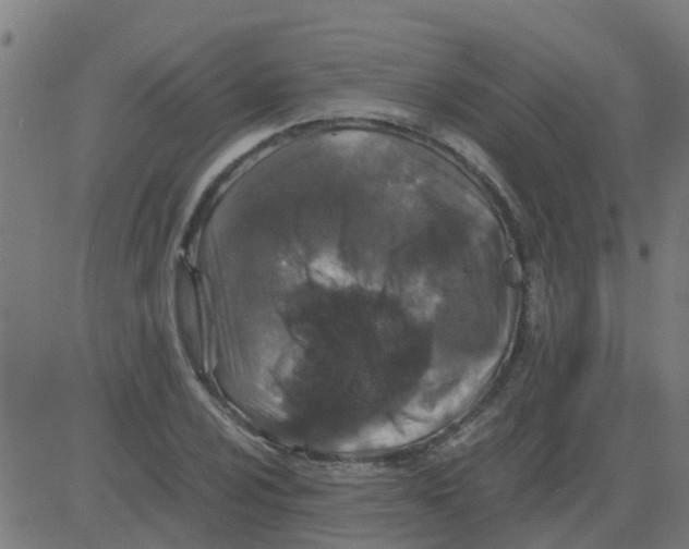 X0000081411024200702092103