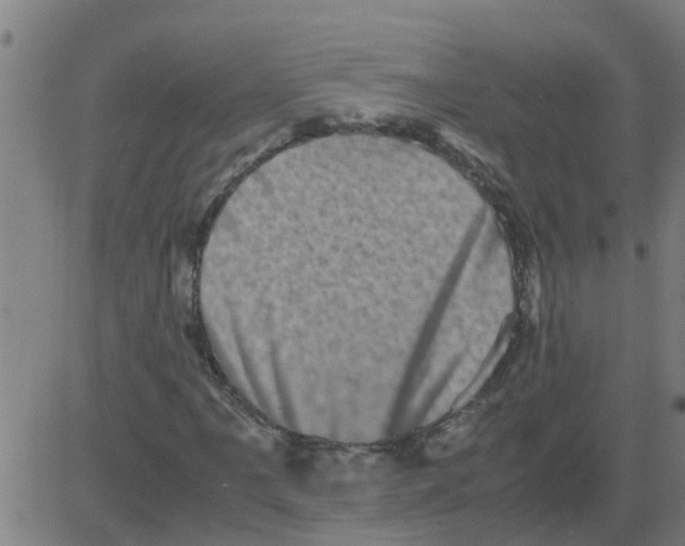 X0000081411061200702092103
