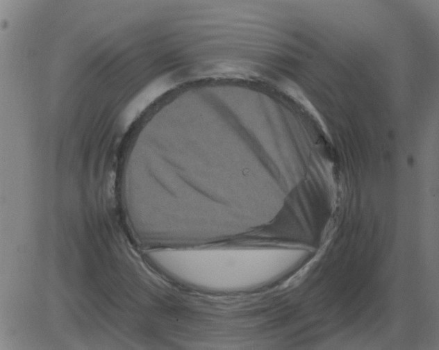 X0000081411066200702092103