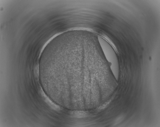 X0000081411092200702092102