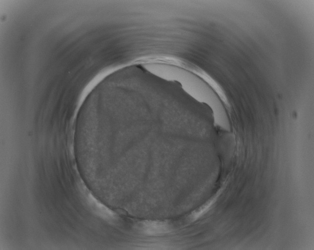 X0000081411102200702092102