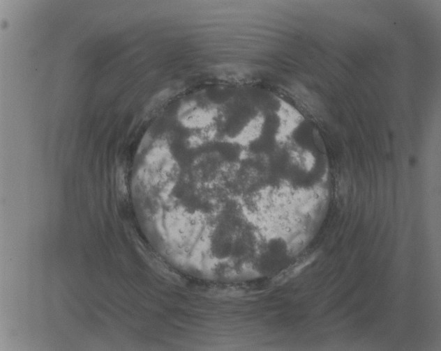 X0000081411106200702092101