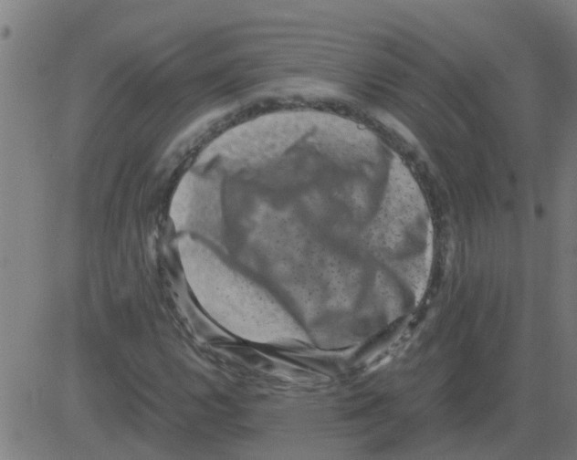 X0000081411112200702092102