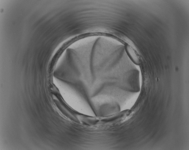 X0000081411116200702092102