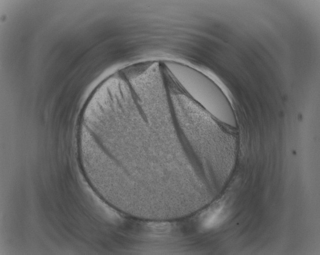 X0000081411142200702092102