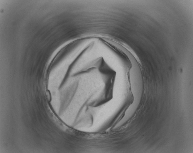 X0000081411148200702092102