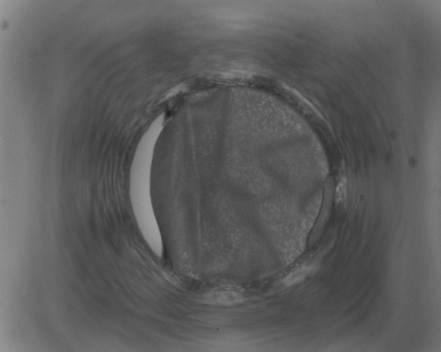 X0000081411156200702092101