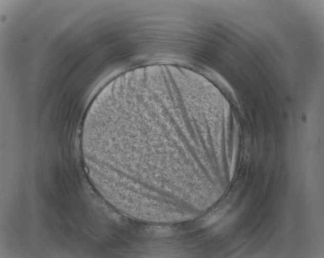 X0000081411190200702092101