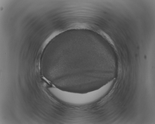 X0000081411226200702092100