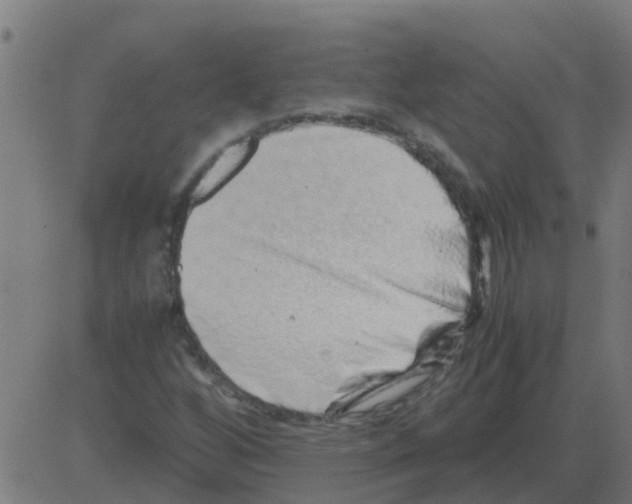 X0000081411256200702092100