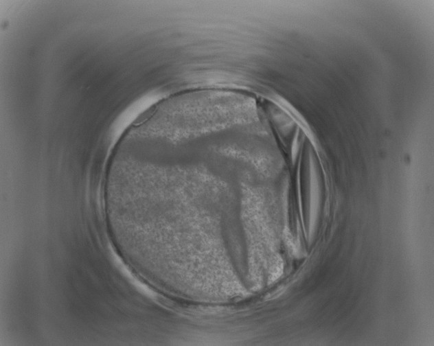 X0000081411293200702092059