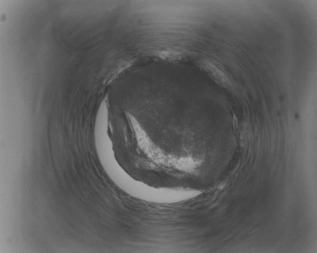 X0000081411298200702092058