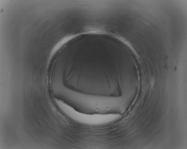X0000081411319200702092059
