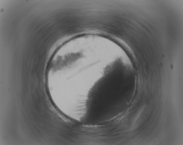 X0000081411327200702092059