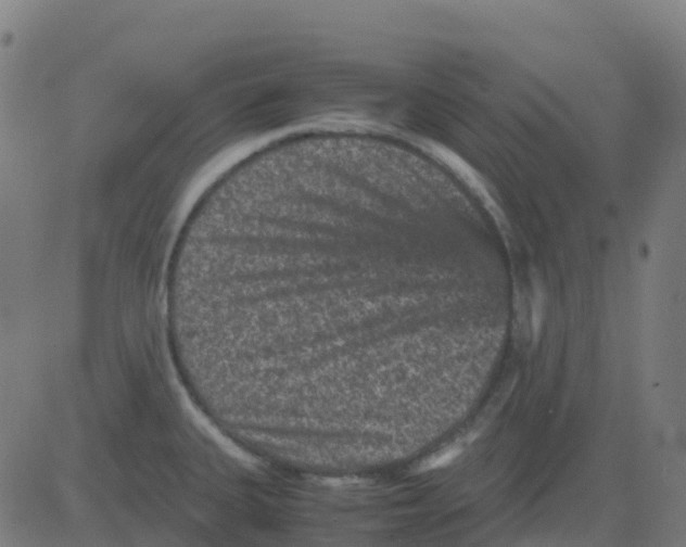 X0000081411335200702092059