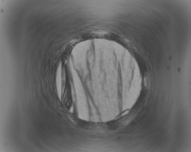 X0000081411347200702092058