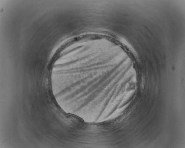 X0000081411360200702092058