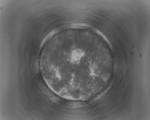 X0000081411362200702092058