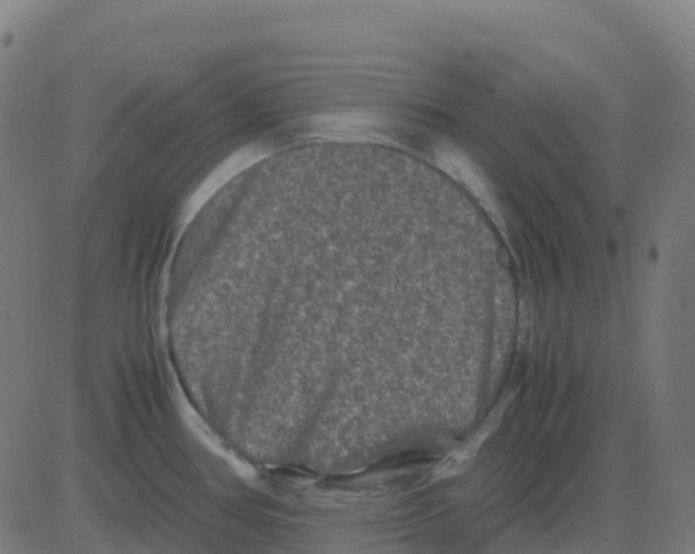 X0000081411386200702092058