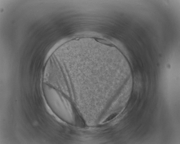 X0000081411390200702092058