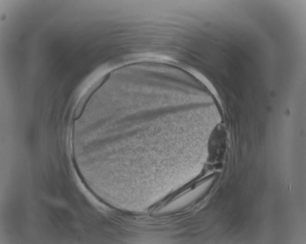 X0000081411391200702092058