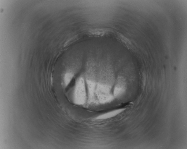 X0000081411394200702092057