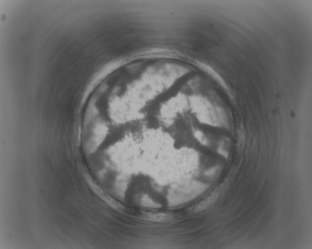X0000081411413200702092057
