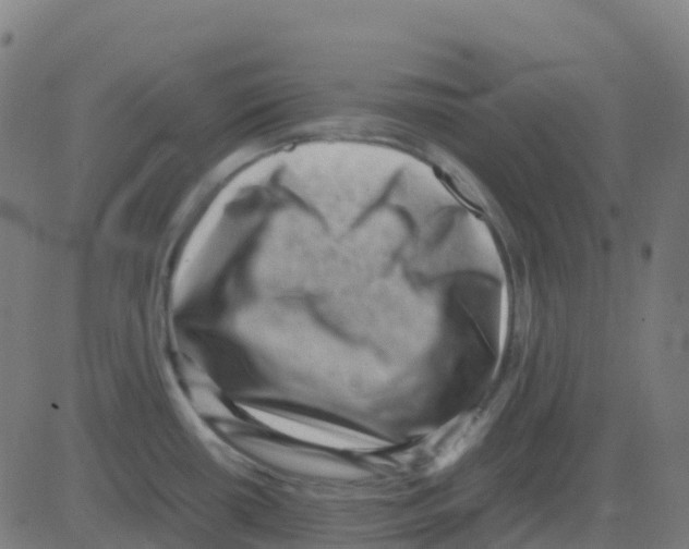 X0000081411434200702092057