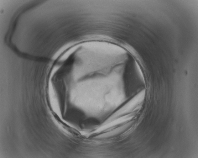 X0000081411438200702092057