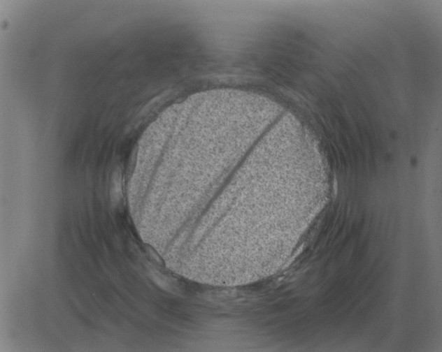 X0000081411444200702092057