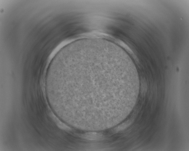 X0000081411478200702092056