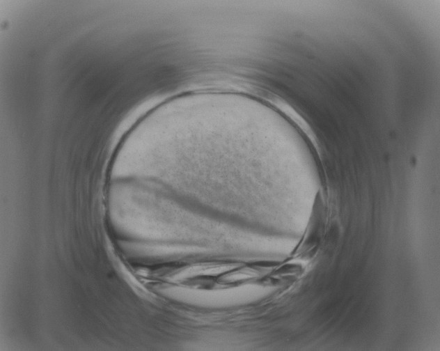 X0000081411485200702092056