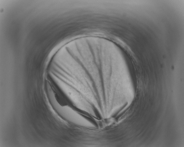 X0000081411520200702092056