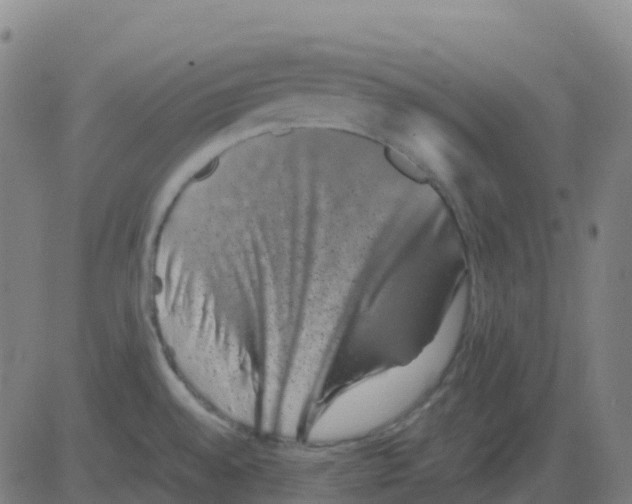 X0000081411528200702092056