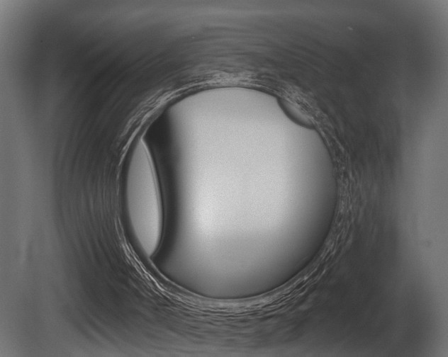 X0000081420002200701120957