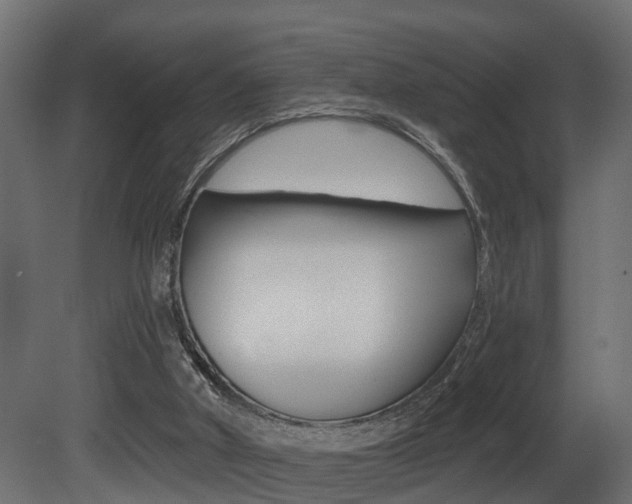 X0000081420010200701120956