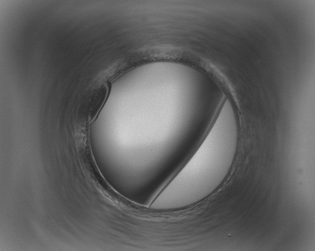 X0000081420017200701120956