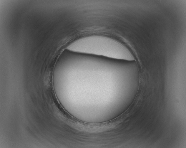 X0000081420018200701120956